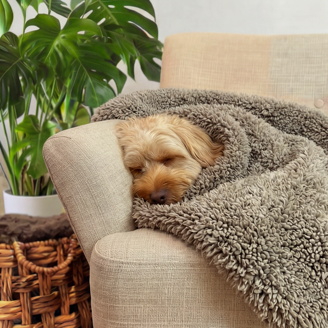 'The Snuggler' Fluffy Dog Blanket - Stone