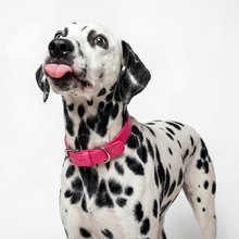 Load image into Gallery viewer, Vegan Leather Collar &amp; Lead Set - Rebel Pink
