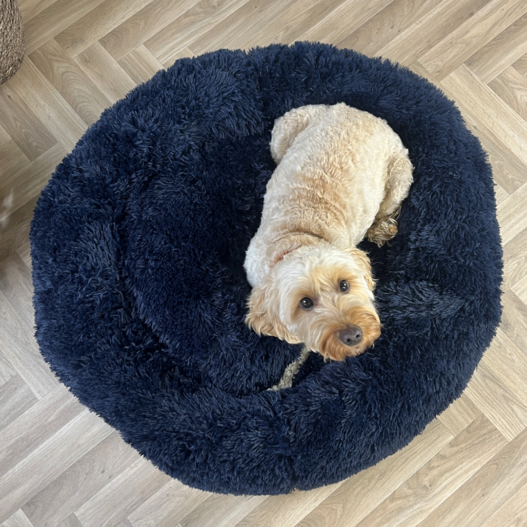 Calming Donut Bed - Frenchie Blue