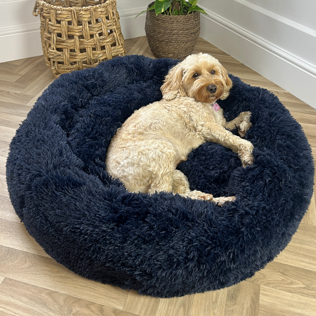 Frenchie Blue Calming Donut Bed