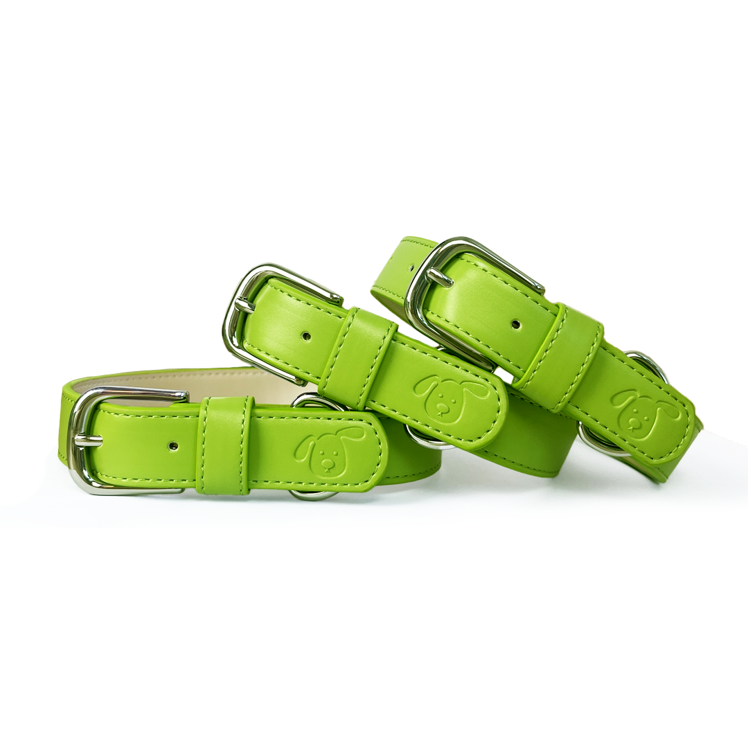 Vegan Leather Dog Collar - Spring Green