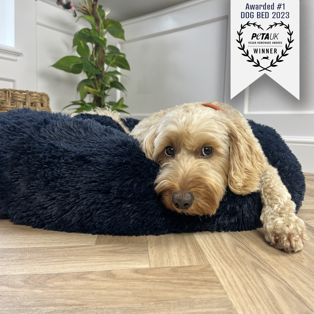 Calming Donut Bed - Frenchie Blue