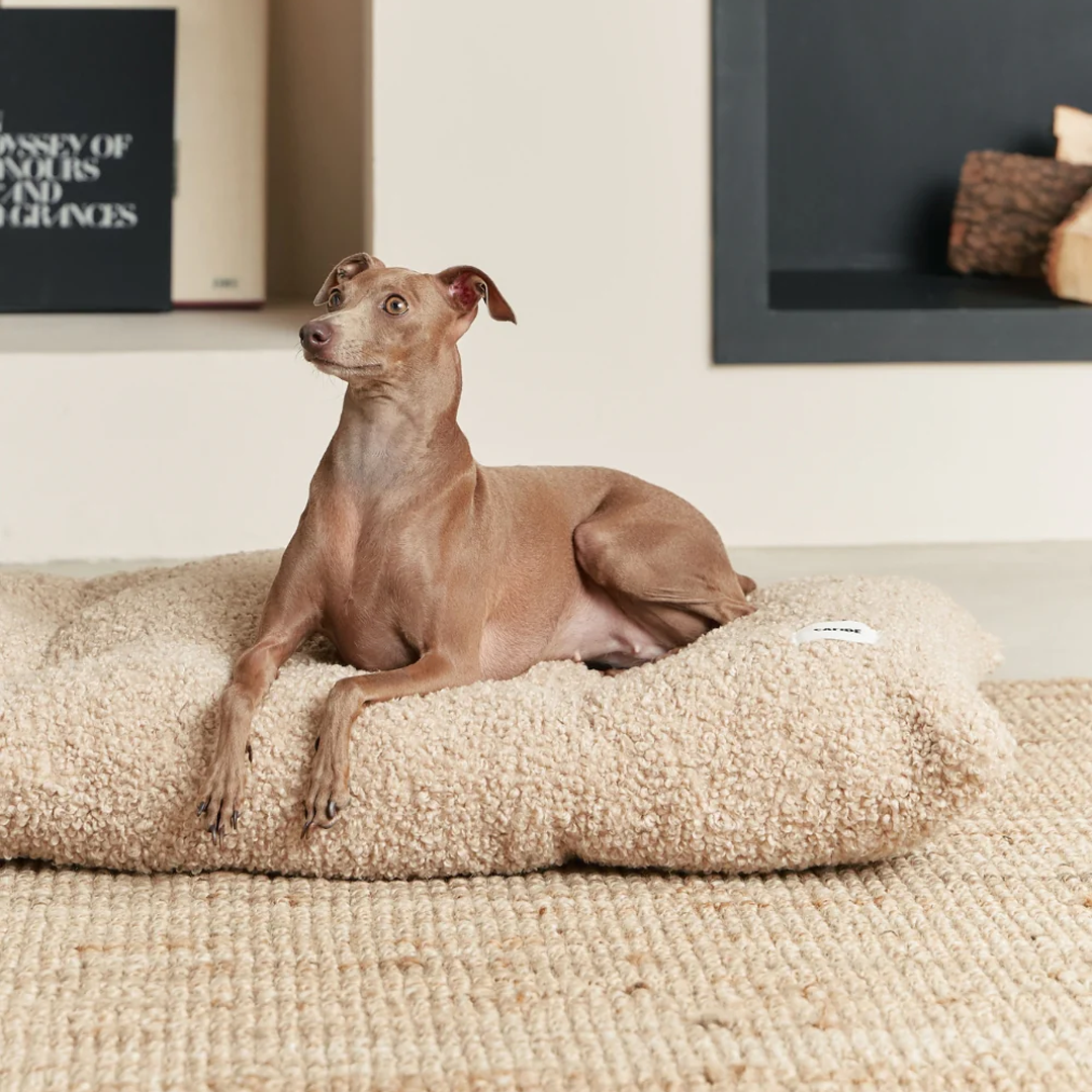 Bela Dog Pillow by Cafide - Beige Boucle