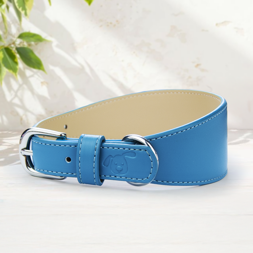Whippet & Hound Vegan Leather Collar - Carolina Blue