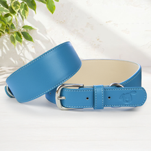 Load image into Gallery viewer, Whippet &amp; Hound Vegan Leather Collar - Carolina Blue
