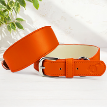 Load image into Gallery viewer, Whippet &amp; Hound Vegan Leather Collar - Coral
