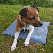 Load image into Gallery viewer, The Cooling Mat - By Henry Wag
