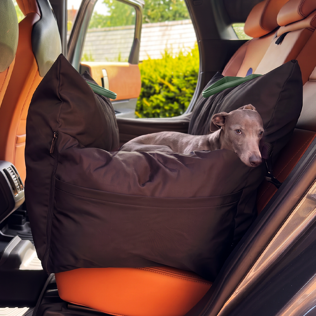 Passenger Princess Pod - Car Seat & Travel bed - Mint Dog Chip