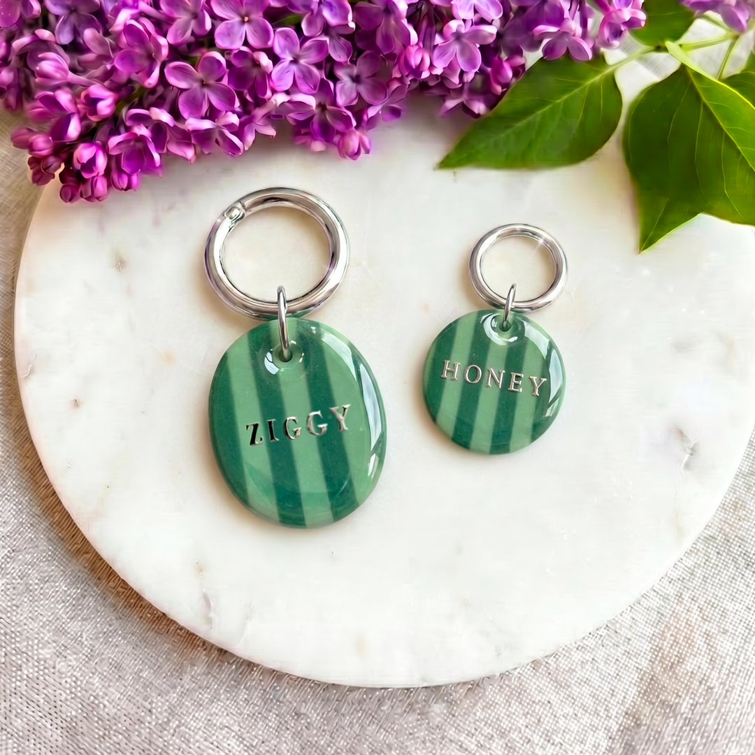 Candy Stripe Collection - Handcrafted Dog Tag - Green