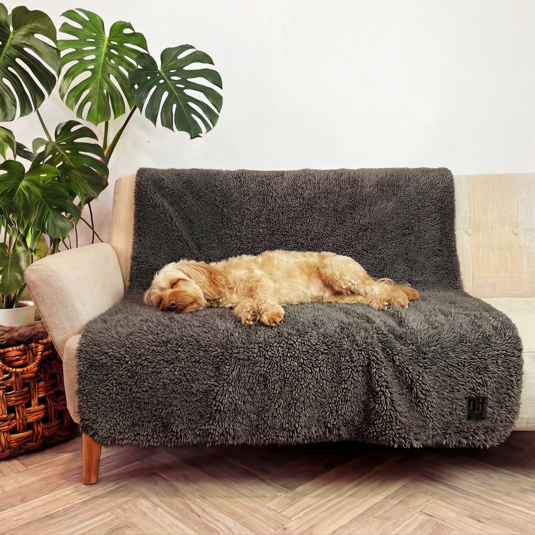 'The Snuggler' Fluffy Dog Blanket - Slate
