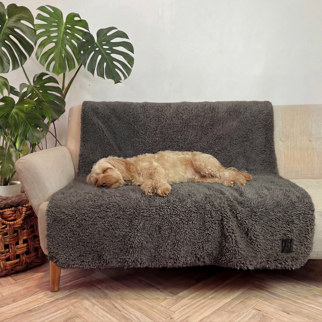 'The Snuggler' Fluffy Dog Blanket - Slate