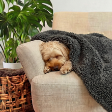 Load image into Gallery viewer, 'The Snuggler' Fluffy Dog Blanket - Slate

