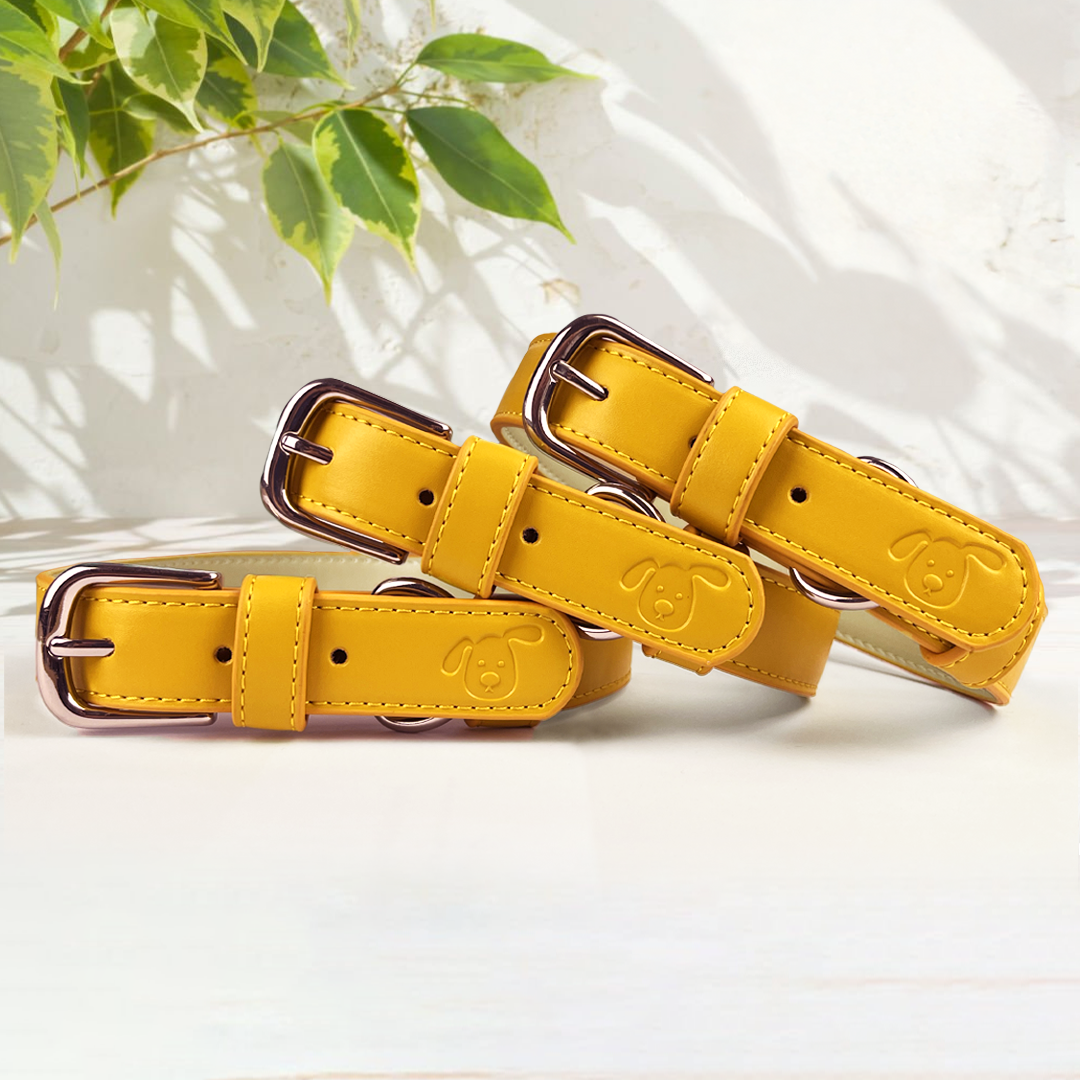Vegan Leather Dog Collar - Amber