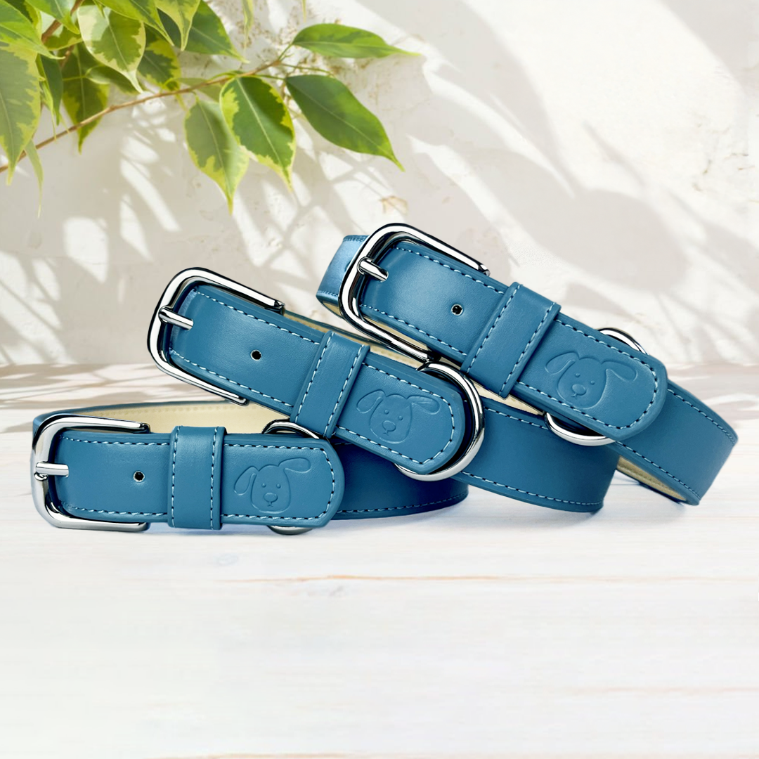 Vegan Leather Dog Collar - Carolina Blue
