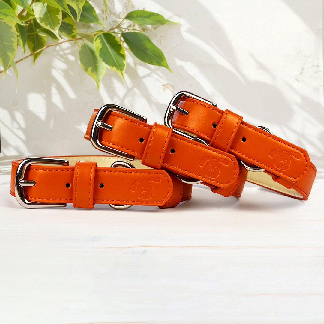 Vegan Leather Collar & Lead Set - Over-Caffeinated Coral