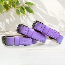 Load image into Gallery viewer, Vegan Leather Dog Collar - Lilac
