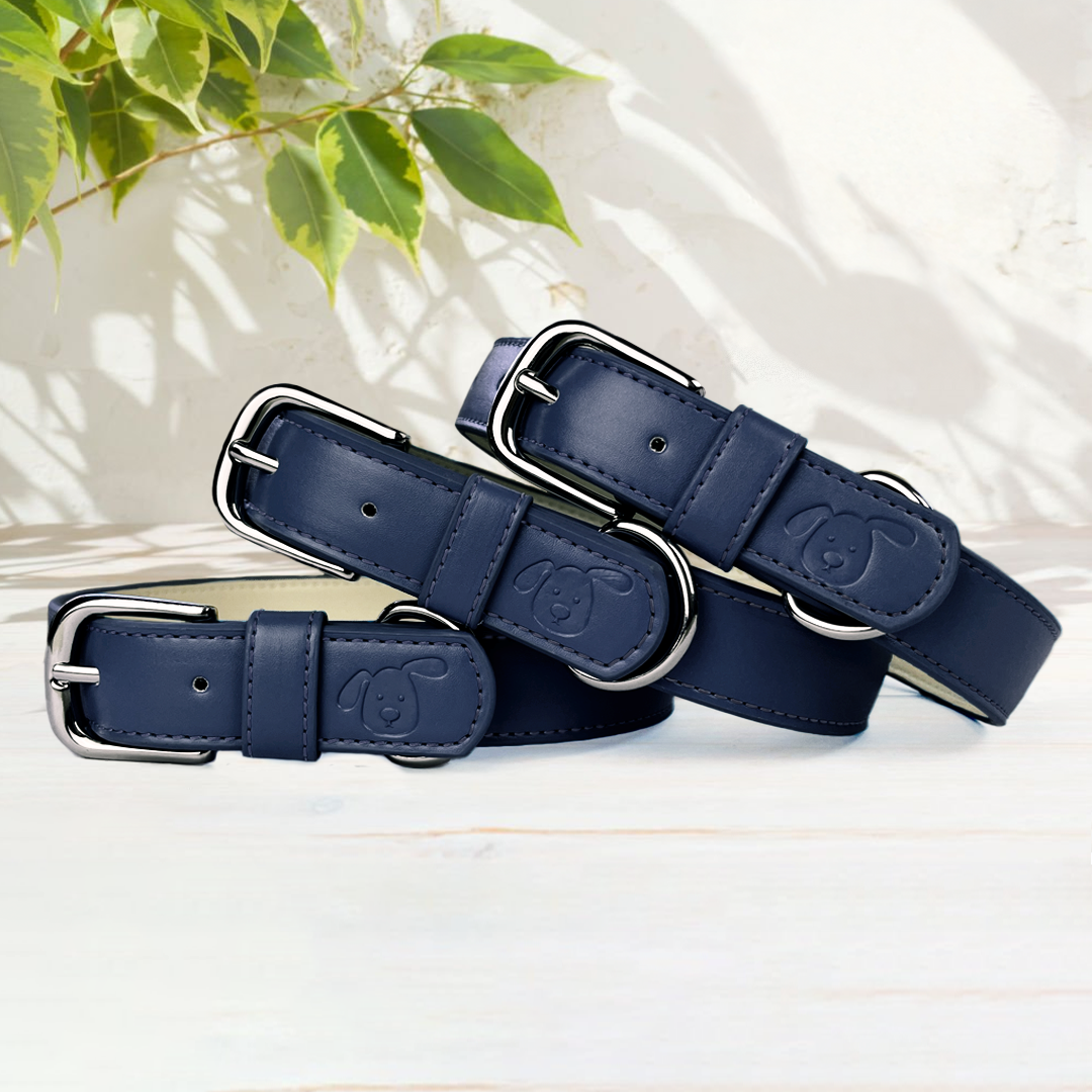 Vegan Leather Collar & Lead Set - Nosey-Nellie Navy