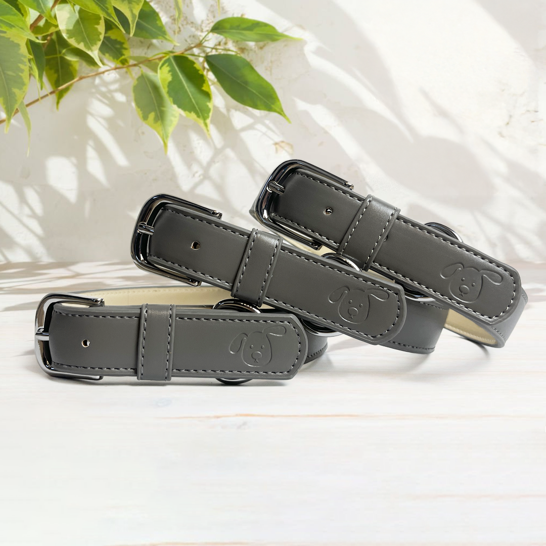 Vegan Leather Collar & Lead Set - Stubborn as a Stone