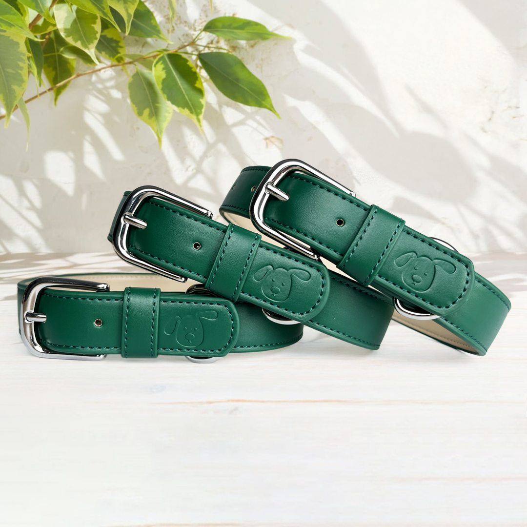 Vegan Leather Dog Collar - Racing Green