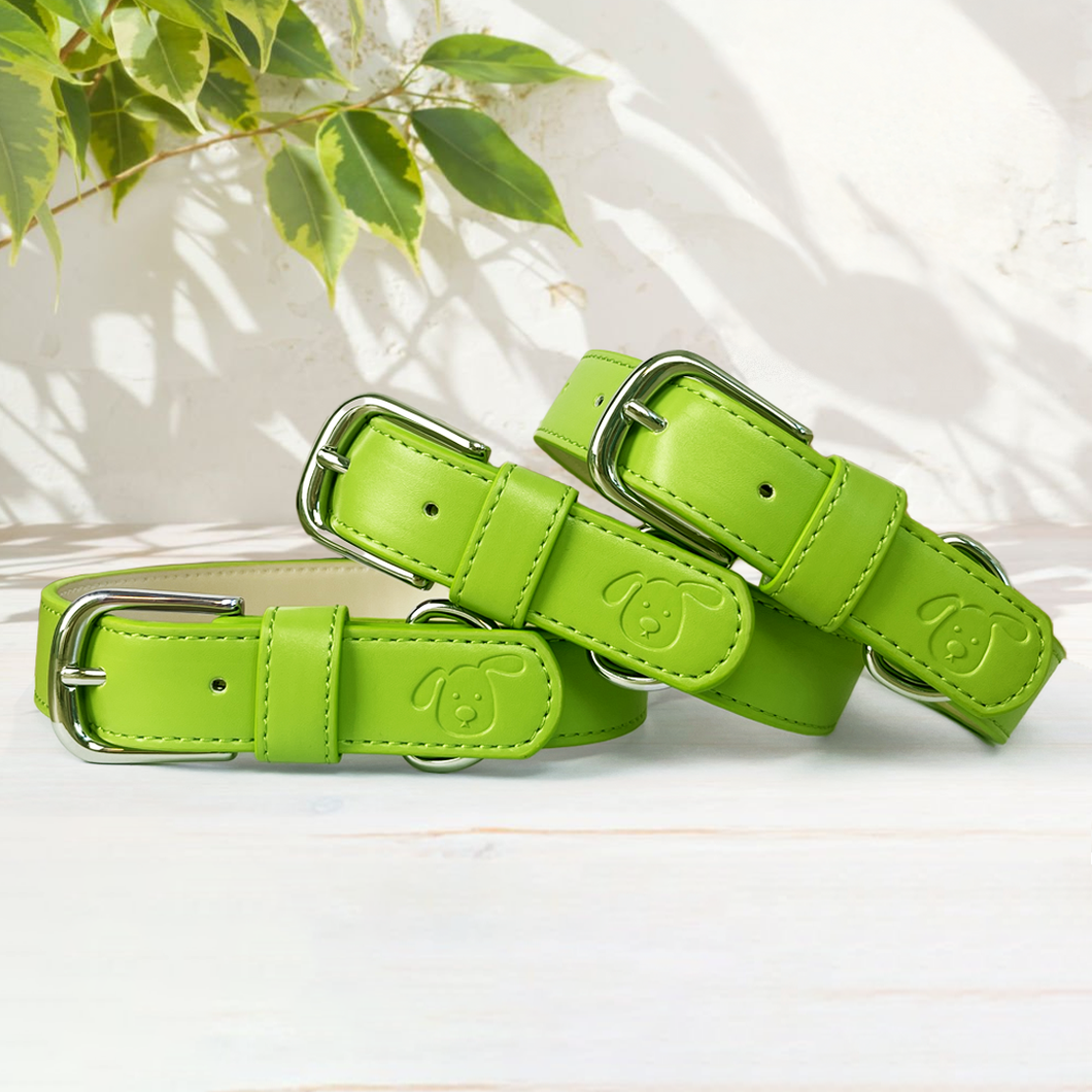 Vegan Leather Dog Collar - Spring Green