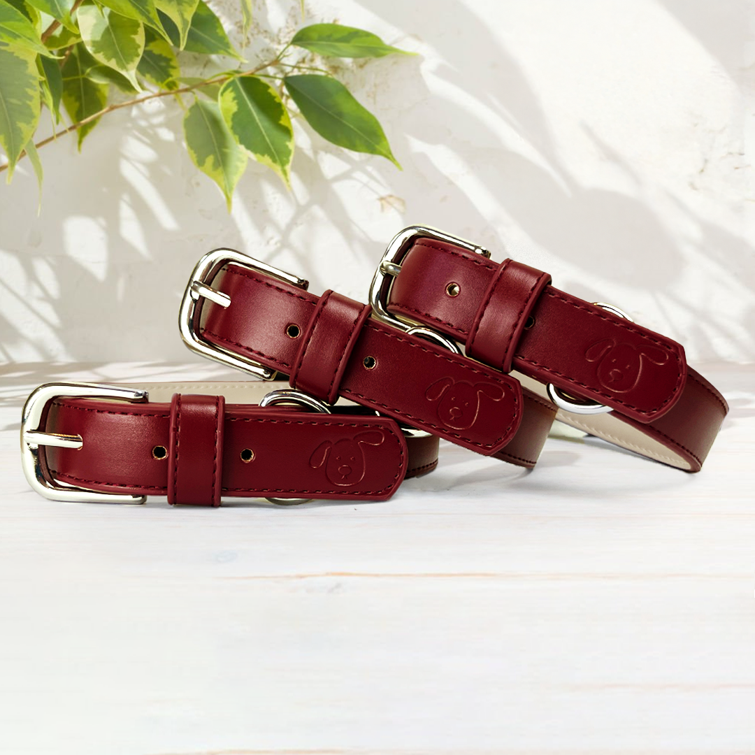Vegan Leather Dog Collar - Wine Red
