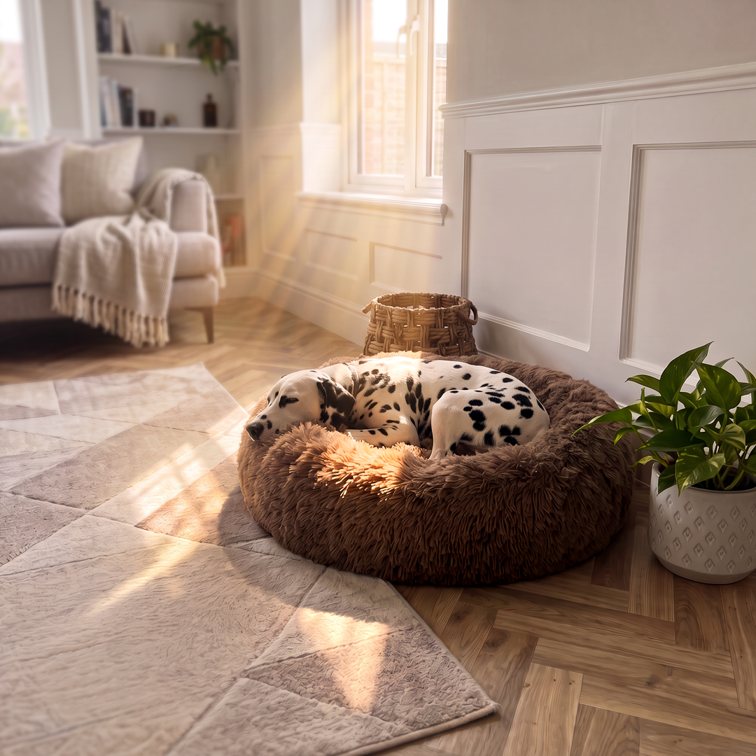 Calming Donut Bed - Light Brown