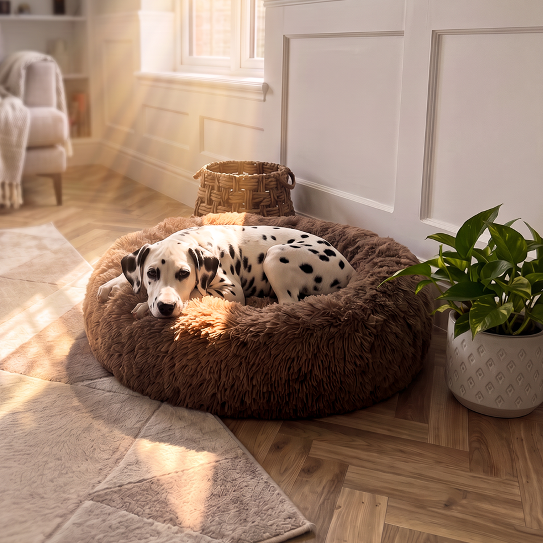 Calming Donut Bed - Light Brown