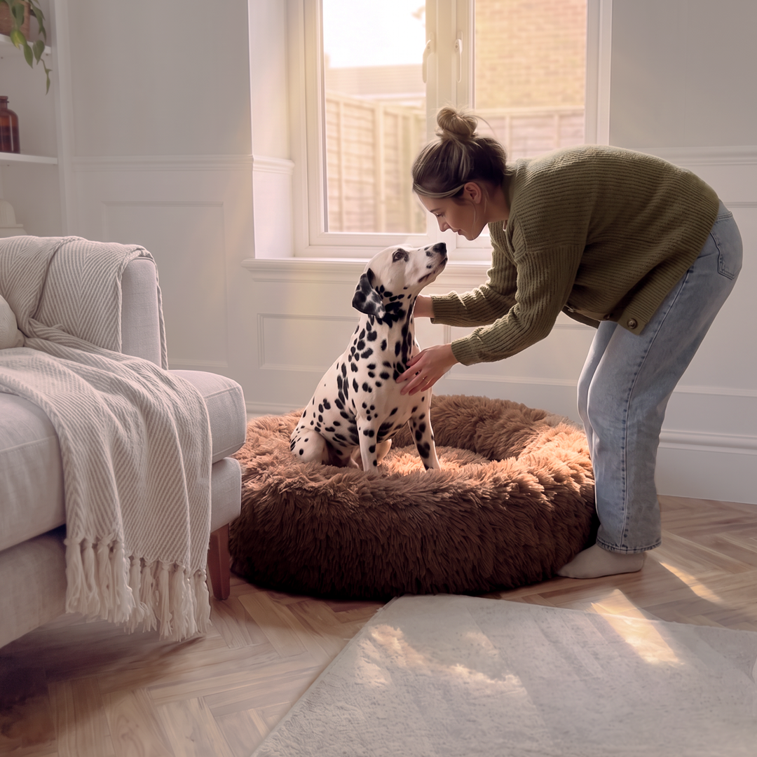 Calming Donut Bed - Light Brown
