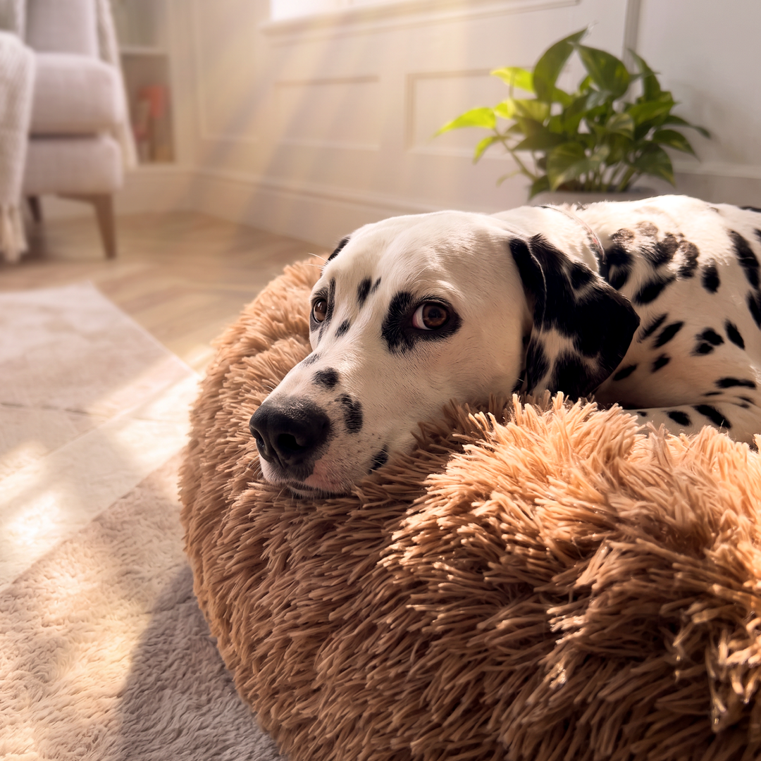 Calming Donut Bed - Light Brown