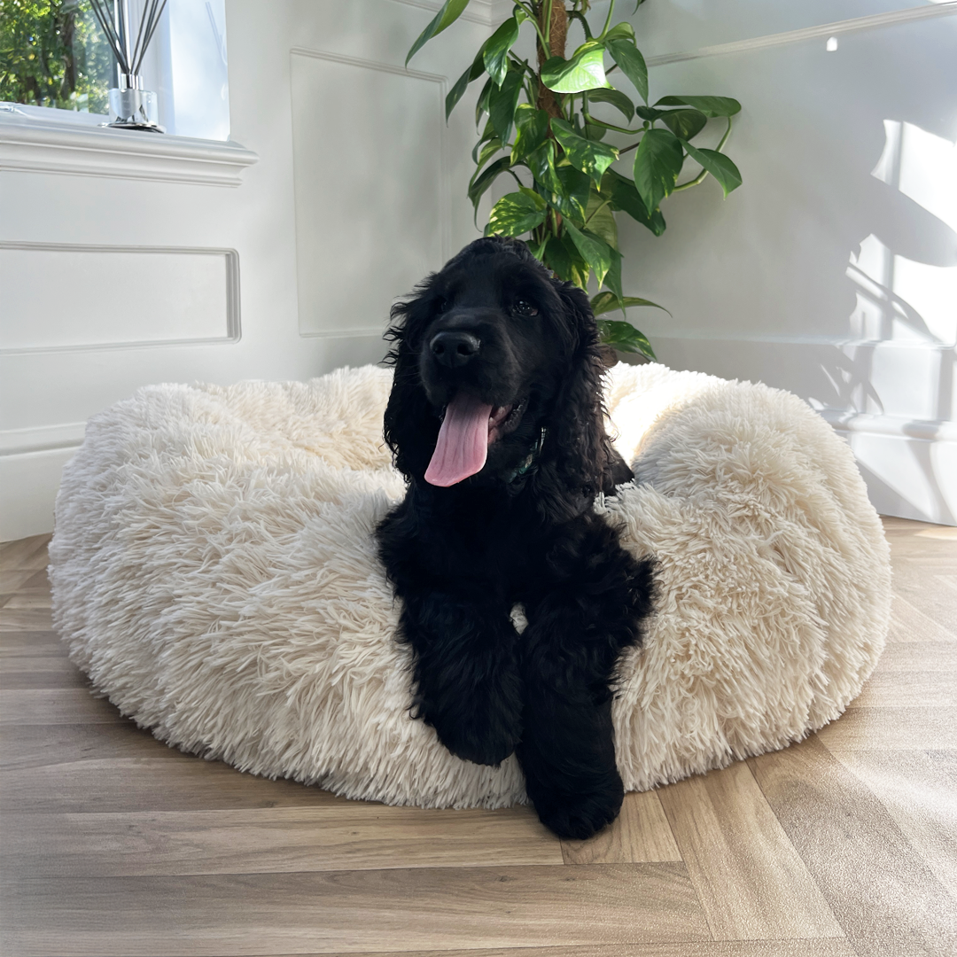 Calming Donut Bed - Champagne