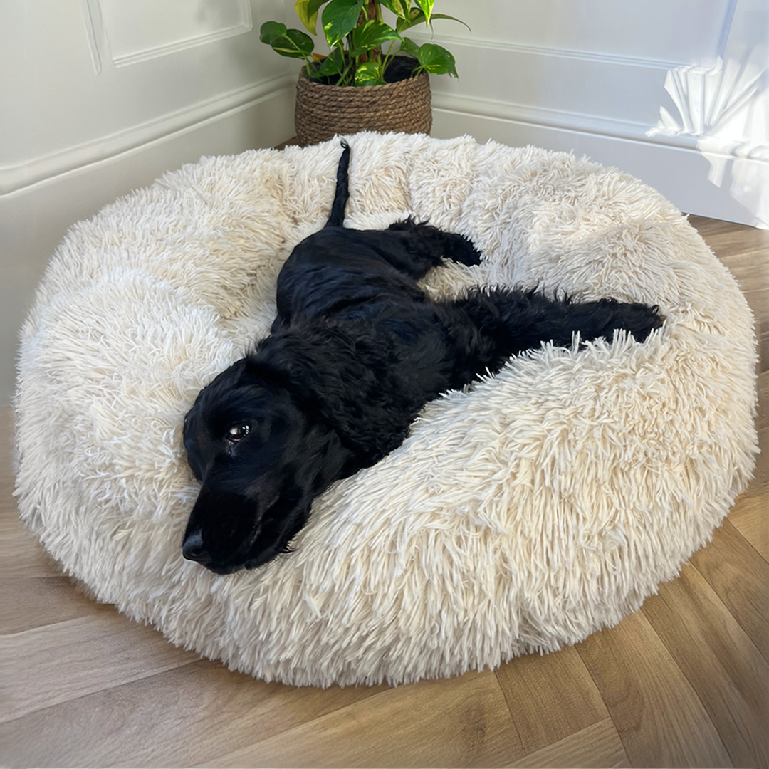 Calming Donut Bed - Champagne