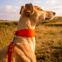 Load image into Gallery viewer, Whippet &amp; Hound Vegan Leather Collar - Coral
