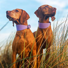 Load image into Gallery viewer, Whippet &amp; Hound Vegan Leather Collar - Lilac
