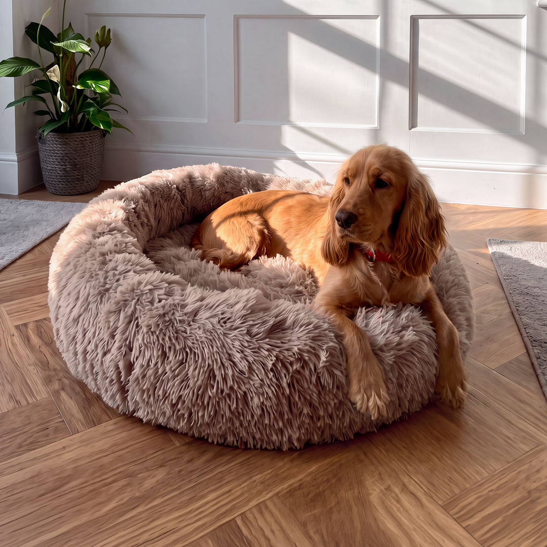 Calming Donut Bed - Mocha