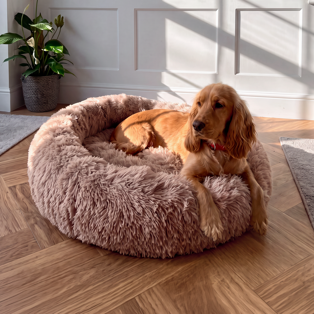 Calming Donut Bed - Mocha