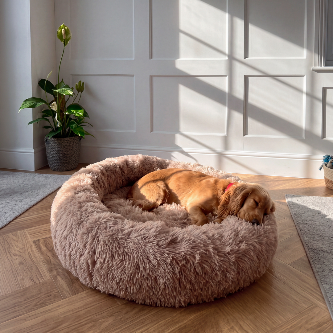 Calming Donut Bed - Mocha