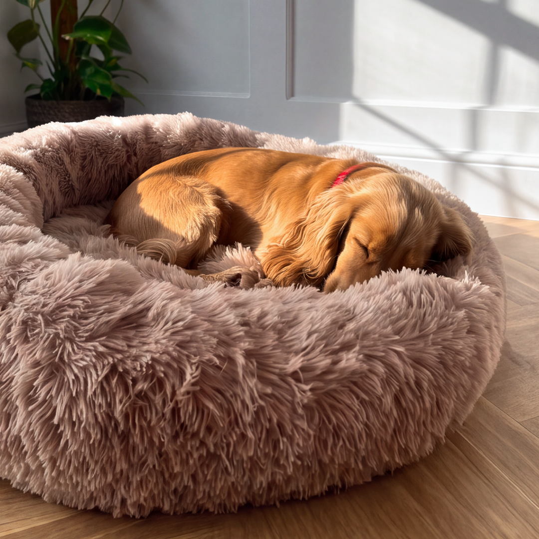 Calming Donut Bed - Mocha