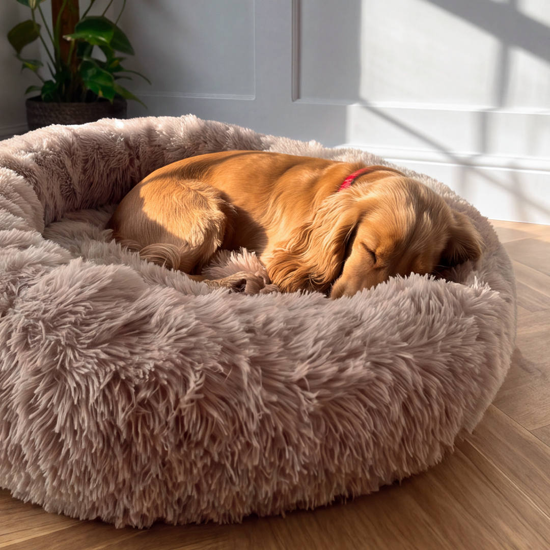 Calming Donut Bed - Mocha