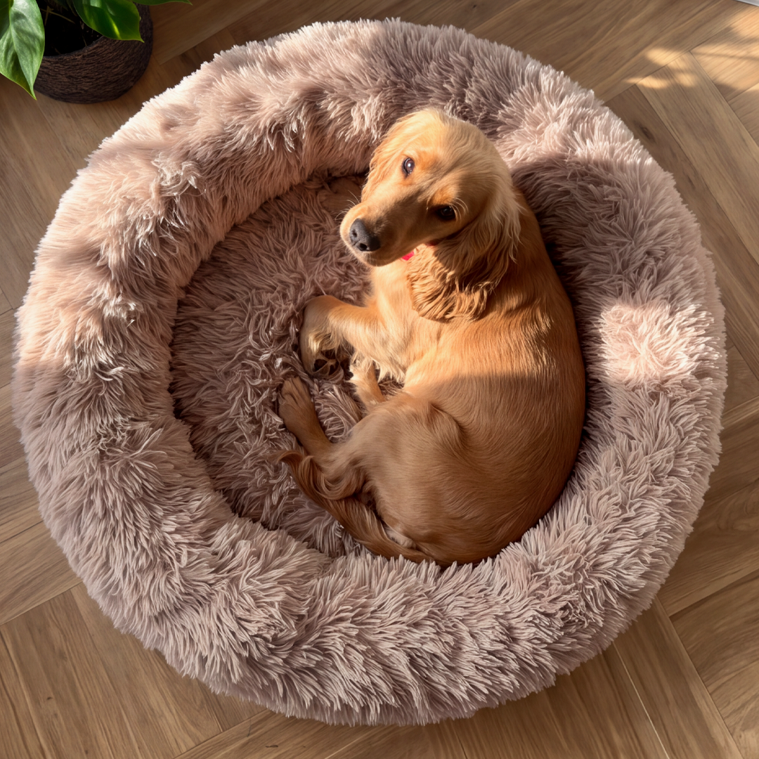 Calming Donut Bed - Mocha