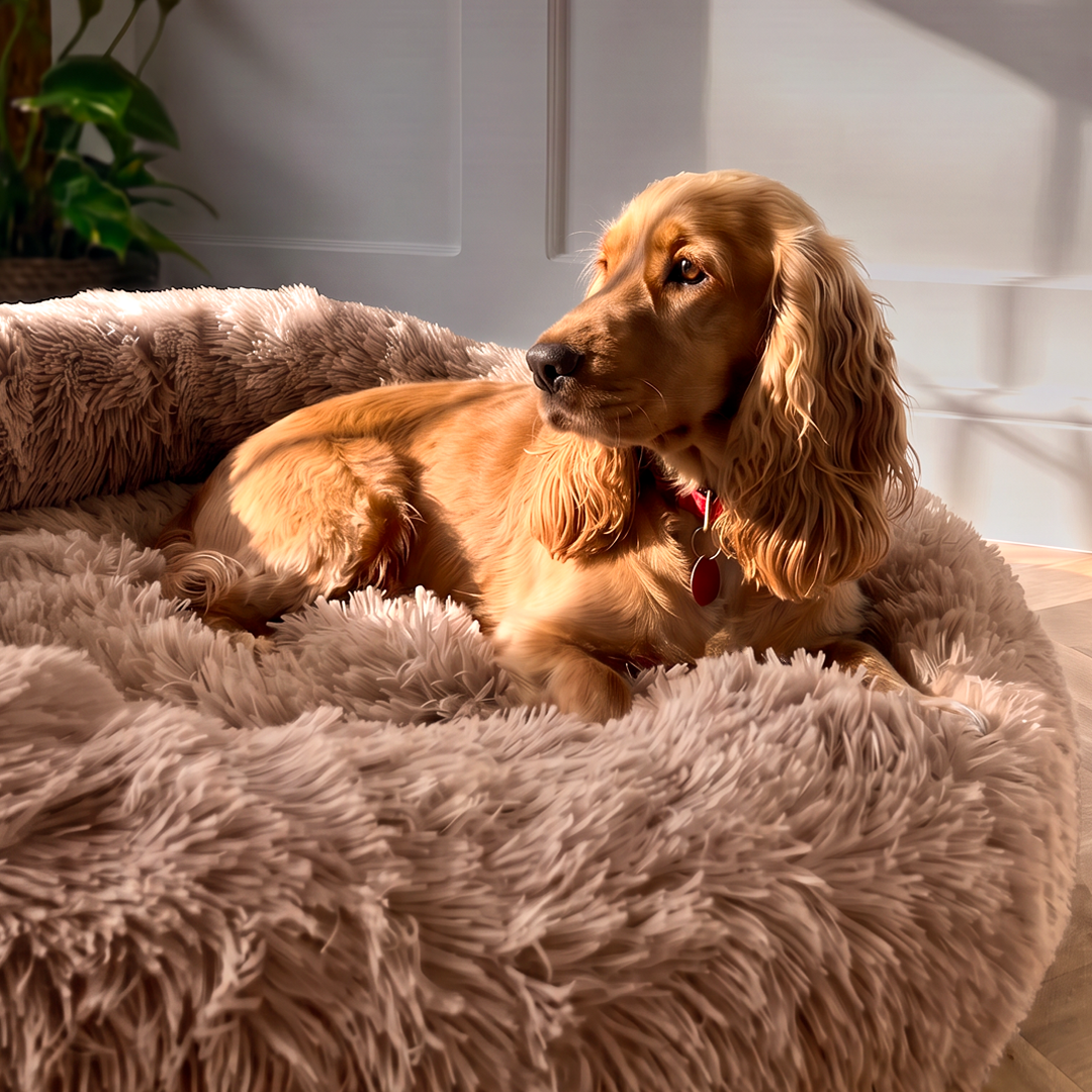 Calming Donut Bed - Mocha