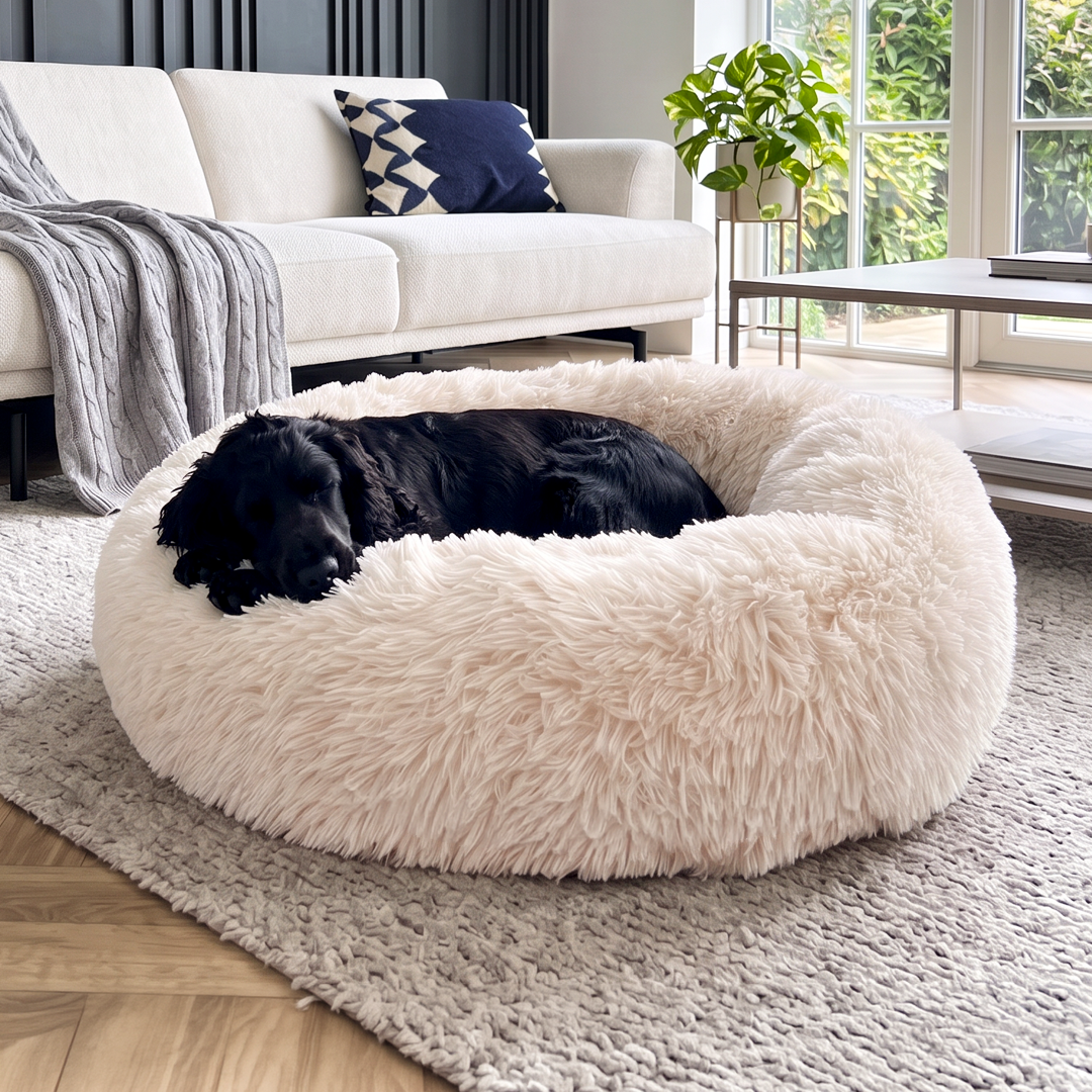 Calming Donut Bed - Champagne