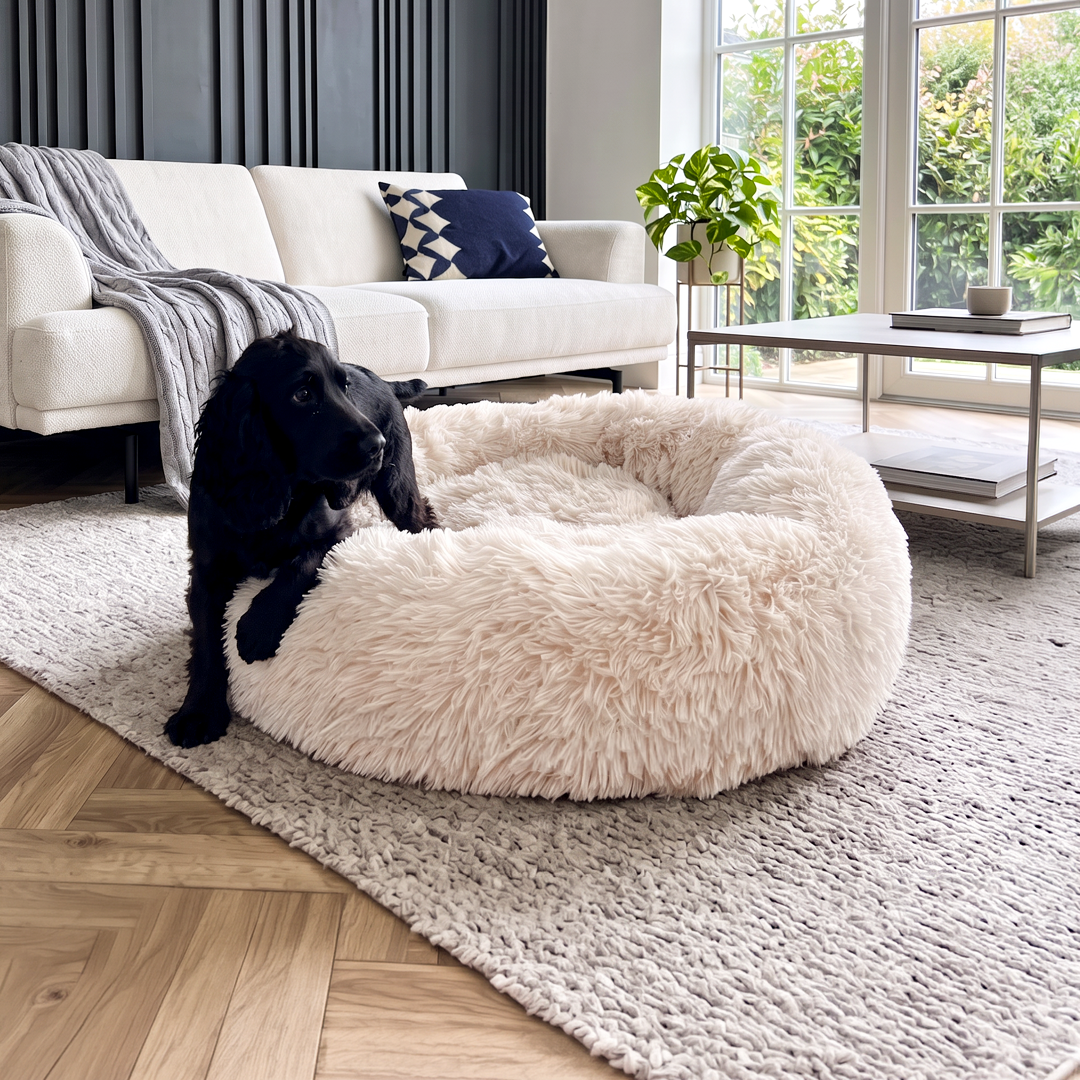 Calming Donut Bed - Champagne