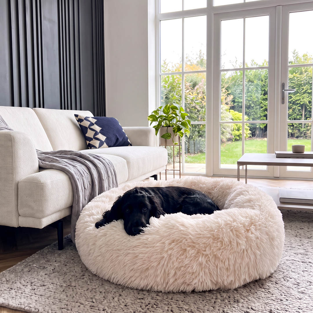 Calming Donut Bed - Champagne