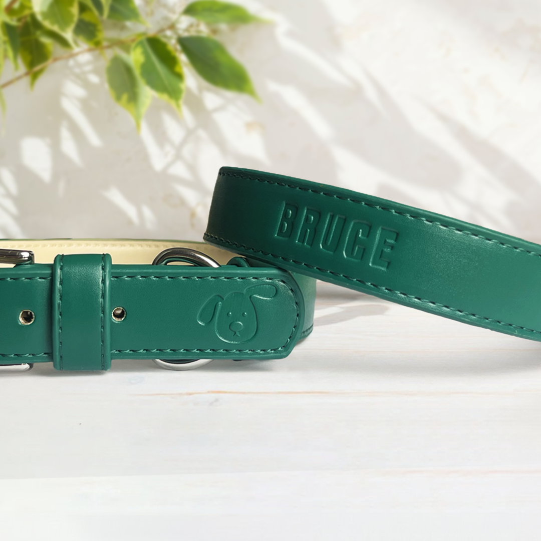 Vegan Leather Dog Collar - Racing Green