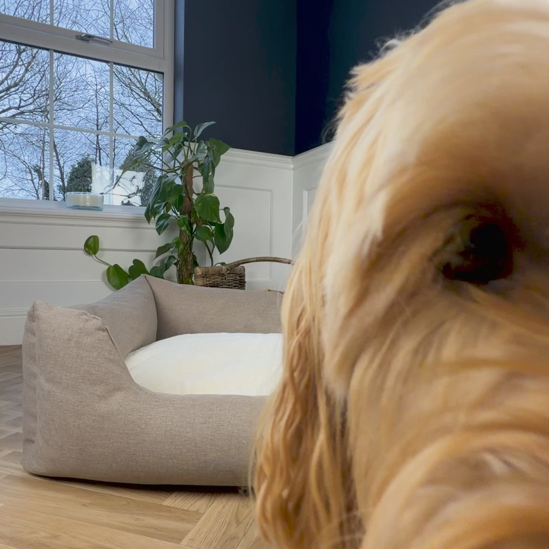 The Slumber Tray Bed - Ash Brown