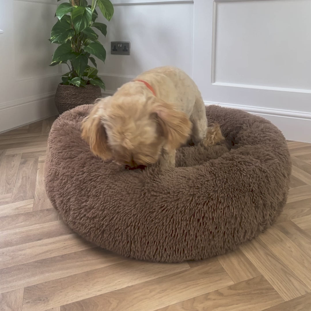 Light Brown Calming Donut Bed