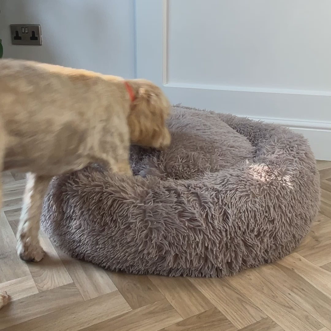 Mocha Calming Donut Bed