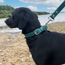 Load image into Gallery viewer, Vegan Leather Dog Collar - Racing Green
