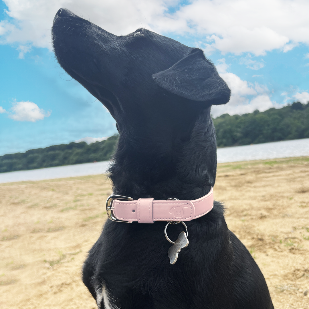 Vegan Leather Dog Collar - Baby Pink