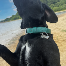 Load image into Gallery viewer, Racing Green Vegan Dog Collar
